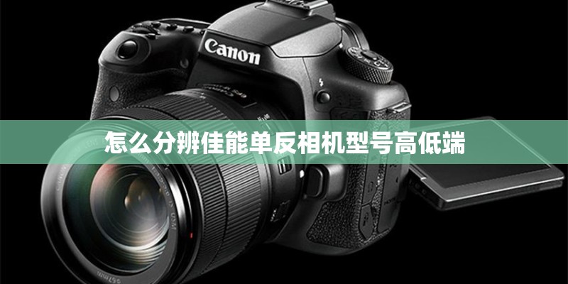 怎么分辨佳能单反相机型号高低端