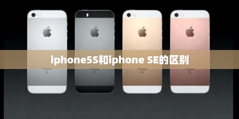 iphone5S和iphone SE的区别