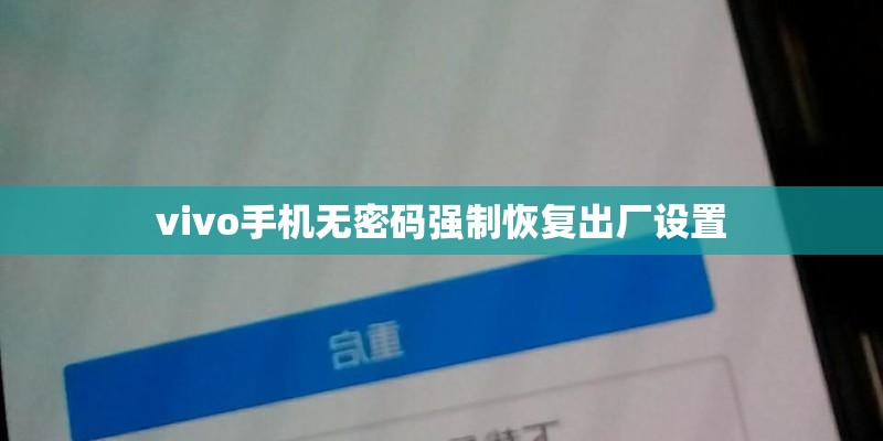 vivo手机无密码强制恢复出厂设置