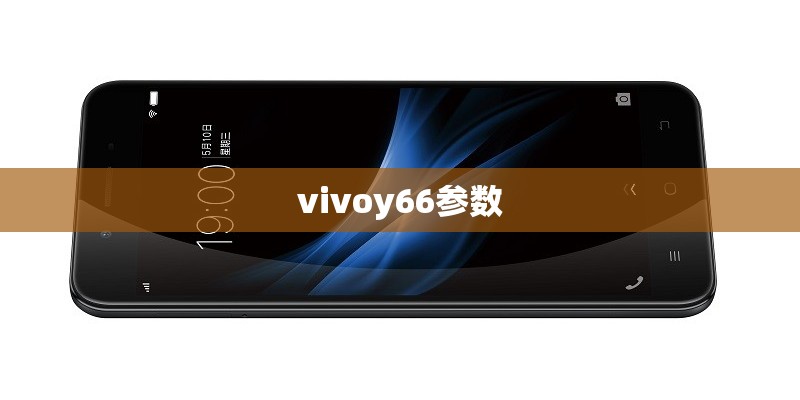vivoy66参数