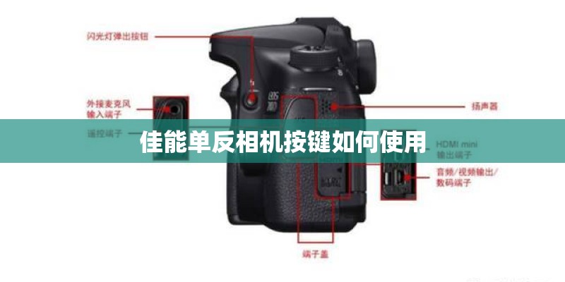 佳能单反相机按键如何使用