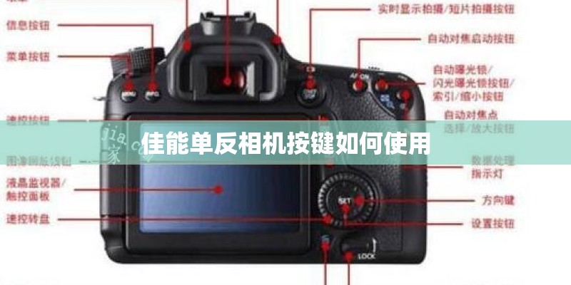 佳能单反相机按键如何使用