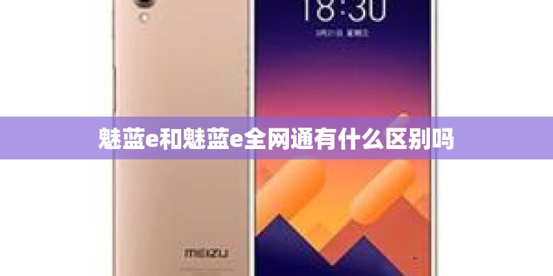 魅蓝e和魅蓝e全网通有什么区别吗