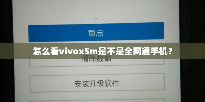 怎么看vivox5m是不是全网通手机？
