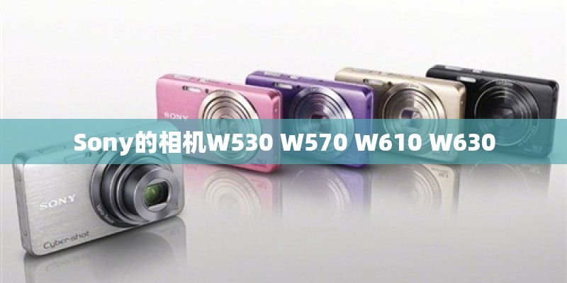 Sony的相机W530 W570 W610 W630