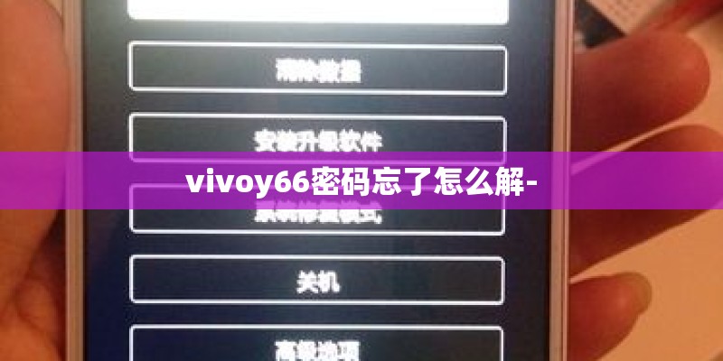 vivoy66密码忘了怎么解-