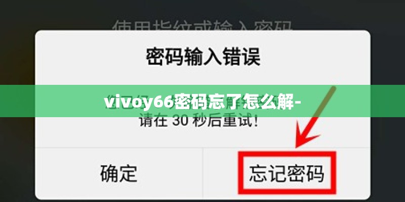 vivoy66密码忘了怎么解-