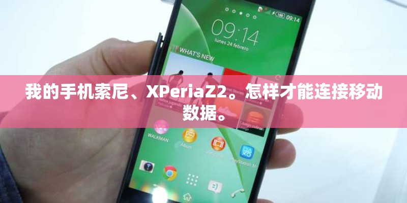 我的手机索尼、XPeriaZ2。怎样才能连接移动数据。