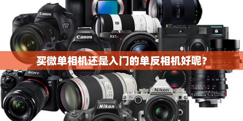 买微单相机还是入门的单反相机好呢？