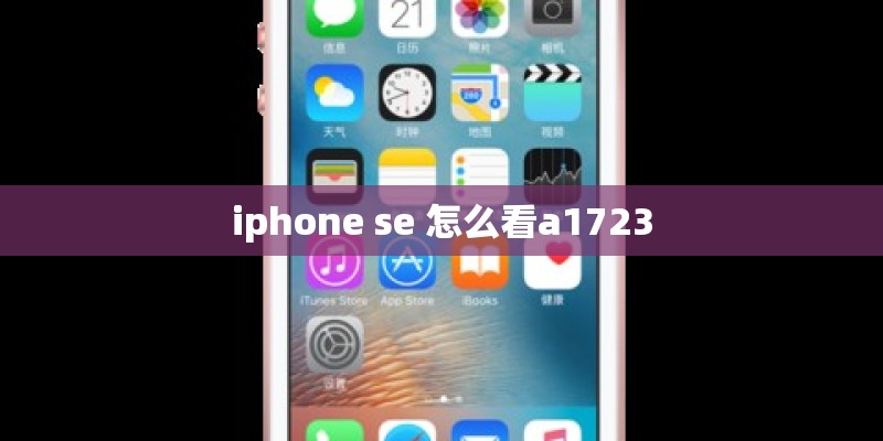 iphone se 怎么看a1723