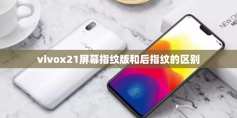 vivox21屏幕指纹版和后指纹的区别