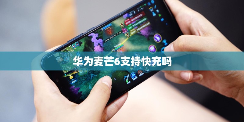 华为麦芒6支持快充吗