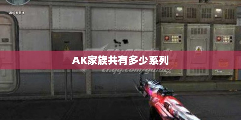 AK家族共有多少系列
