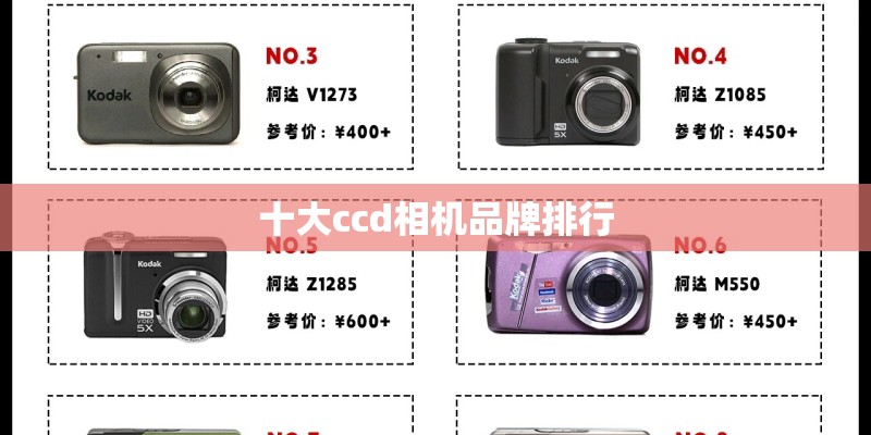 十大ccd相机品牌排行