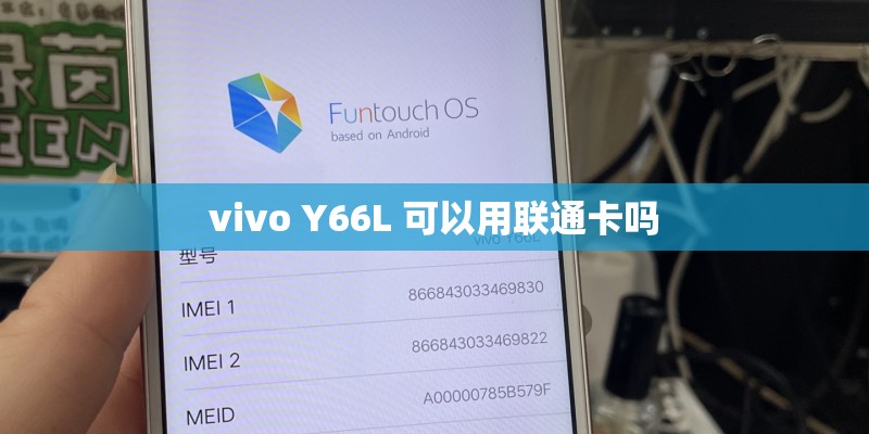 vivo Y66L 可以用联通卡吗