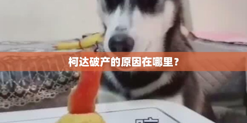 柯达破产的原因在哪里？