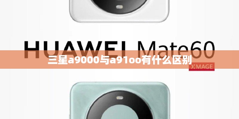 三星a9000与a91oo有什么区别