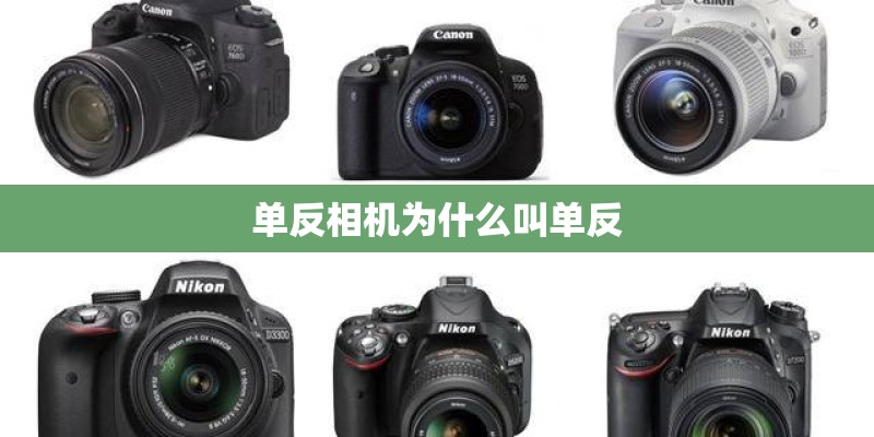 单反相机为什么叫单反