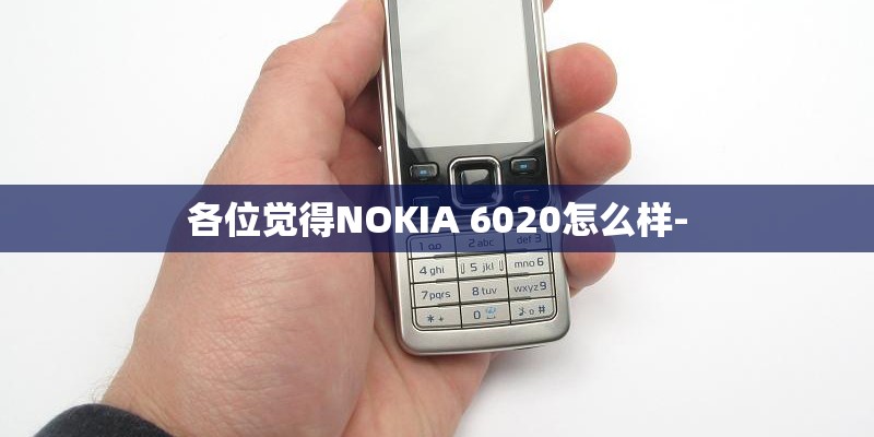 各位觉得NOKIA 6020怎么样-