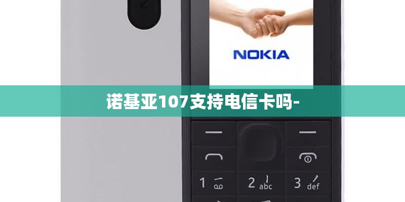 诺基亚107支持电信卡吗-