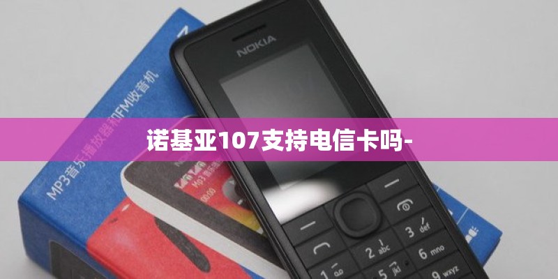 诺基亚107支持电信卡吗-
