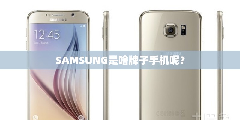 SAMSUNG是啥牌子手机呢？