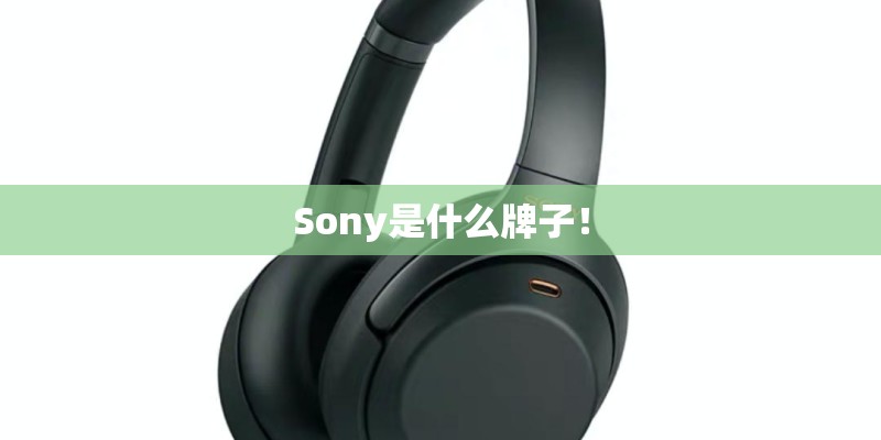 Sony是什么牌子！