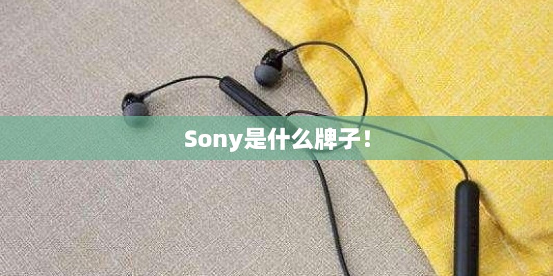 Sony是什么牌子！