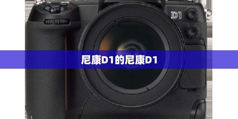 尼康D1的尼康D1