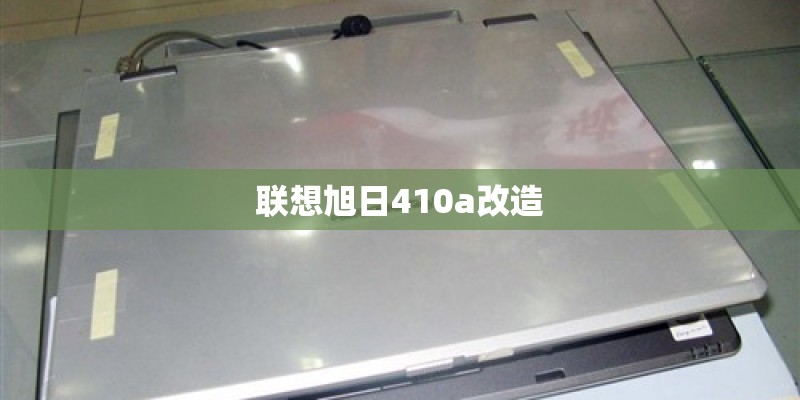 什么植物被称为石油植物？
