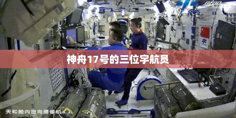 有一种花叫金什么葵的,开的黄色的花能吃