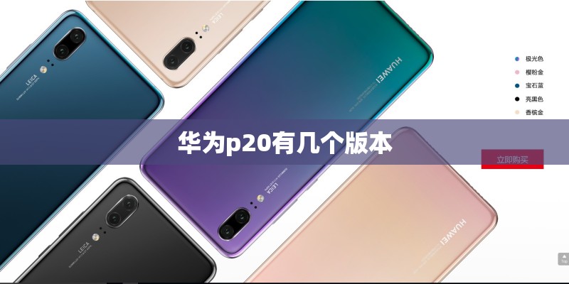 必备辅助“哥哥打大A辅助开挂神器”万能挂揭秘